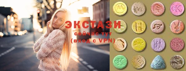 ECSTASY Богородицк
