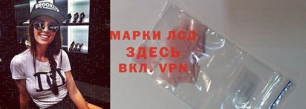 ECSTASY Богородицк