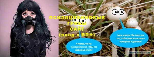 mdpv Богданович
