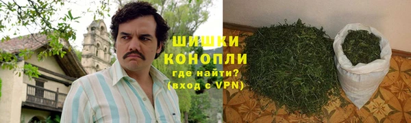 ECSTASY Богородицк