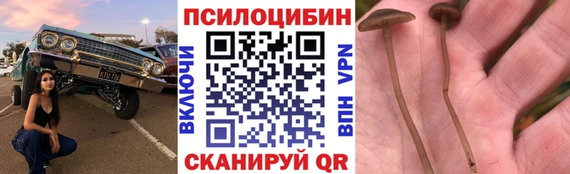 Галлюциногенные грибы Cubensis  kraken как войти  Коряжма 